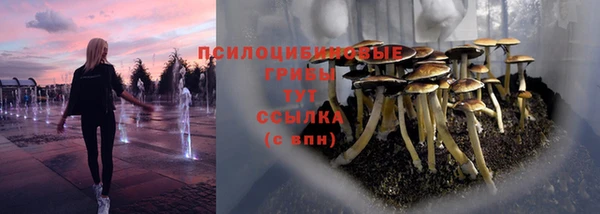 дмт Алексин