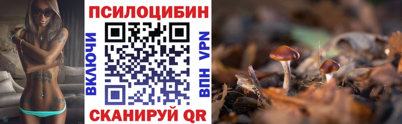 Галлюциногенные грибы мицелий  где купить наркоту  Трёхгорный 